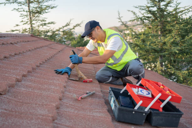 Roof Gutter Cleaning in Aumsville, OR